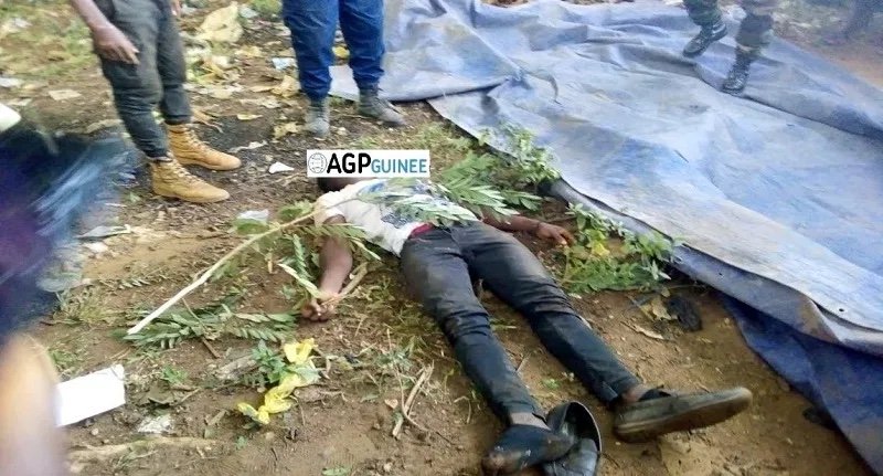  Lola : Un élève assassiné et sa moto emportée..