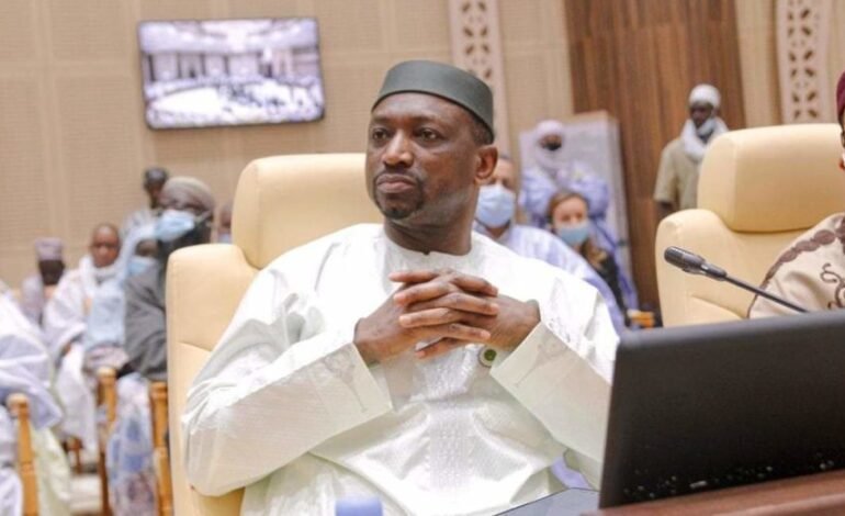  Et si on traduisait les promoteurs du régionalisme devant les tribunaux (Pr Sano)