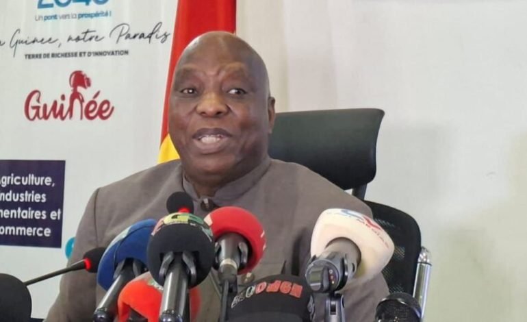 Situation des Guinéens en Allemagne :« Il y a 6.000 Guinéens en difficulté en Allemagne, qui sont en irrégularité », déclaré Morissanda Kouyaté