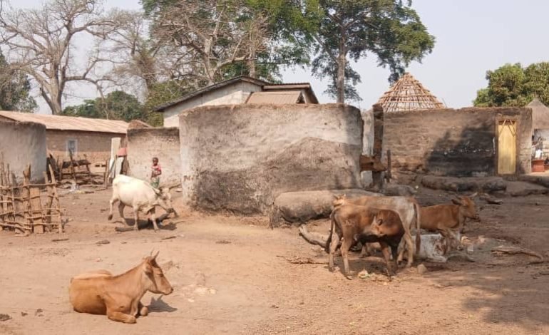 Faranah : Le gouvernement guinéen vol au secours de sinistrés de Dalamara.